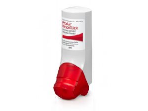 Proair-Inhalator (Salbutamol (Albuterol))