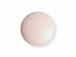 rapamycin_sirolimus.jpg Rapamycin (Sirolimus)